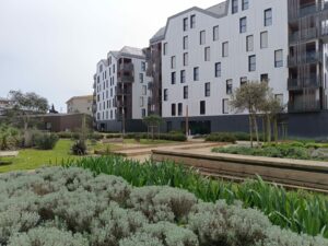 Plantations et engazonnement marchés publics et privés en Vendée