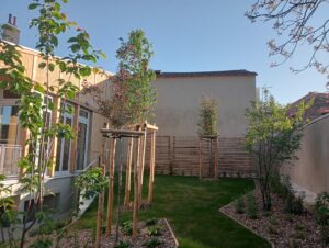 Plantation d'arbres