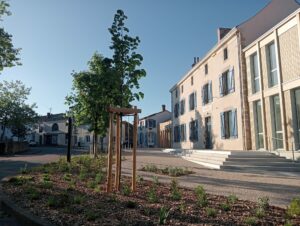Plantation de massif et arbres