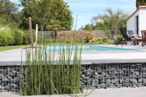 soutènement en gabions equisetum