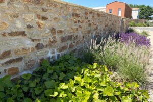Plantations et engazonnement sur les marchés publics et privés en Vendée
