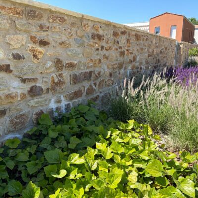 Plantations et engazonnement sur les marchés publics et privés en Vendée
