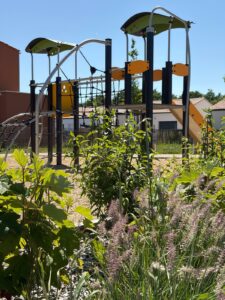aire de jeux, et plantations