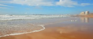 paysagiste les sables d'olonne