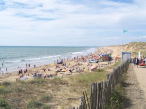 paysagiste olonne sur mer