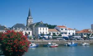 paysagiste saint gilles croix de vie