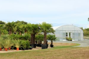 palmiers jardin exotique mediterraneen Marmin