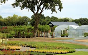 pepinière marmin olonne végétaux arbres fleurs arbustes