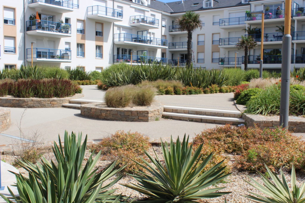 Plantes de bord de mer Vendée · Marmin paysage