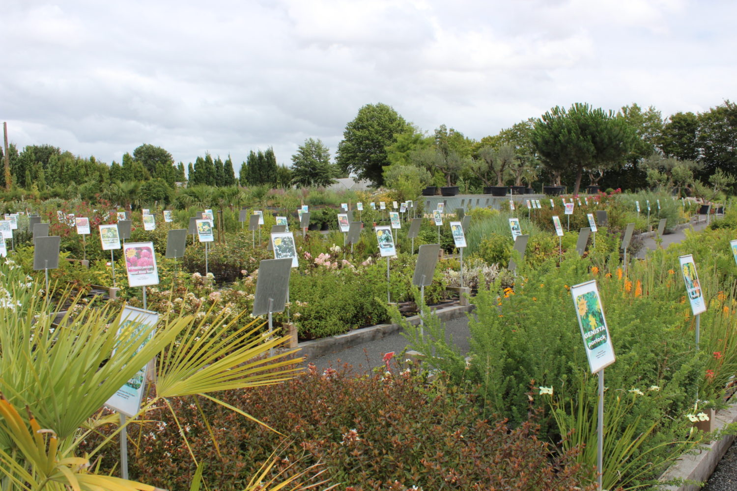 Jardinerie Montaigu Marmin Marmin Paysage Jardinerie Montaigu Marmin Marmin Paysage