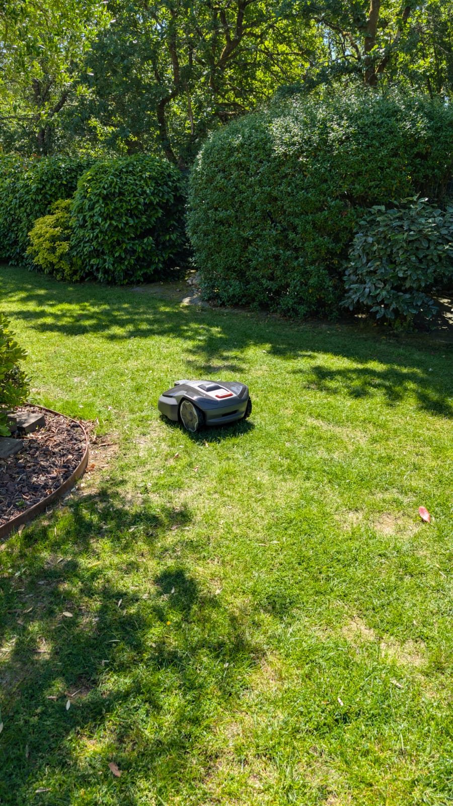 Robot tondeuse